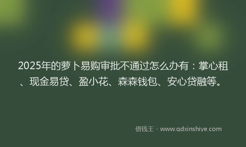 2025年的萝卜易购审批不通过怎么办有：掌心租、现金易贷、盈小花、森森钱包、安心贷融等。