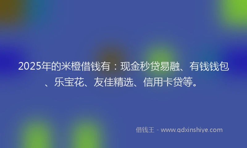 2025年的米橙借钱有：现金秒贷易融、有钱钱包、乐宝花、友佳精选、信用卡贷等。