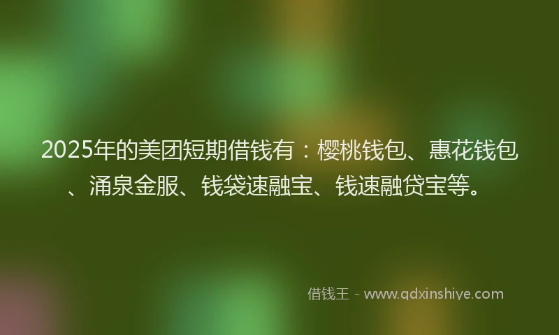 2025年的美团短期借钱有：樱桃钱包、惠花钱包、涌泉金服、钱袋速融宝、钱速融贷宝等。