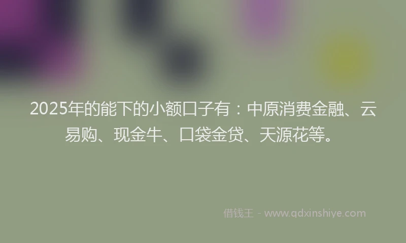 2025年的能下的小额口子有：中原消费金融、云易购、现金牛、口袋金贷、天源花等。