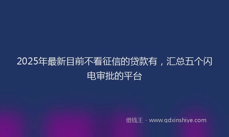 2025年最新目前不看征信的贷款有，汇总五个闪电审批的平台