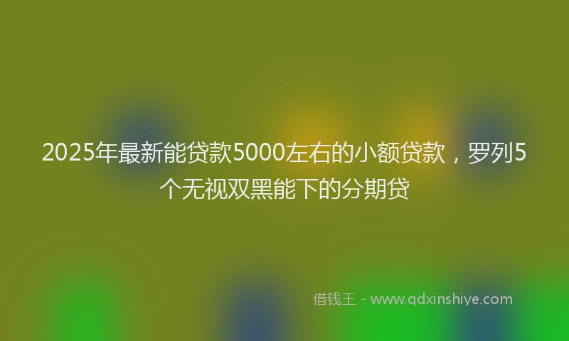 2025年最新能贷款5000左右的小额贷款，罗列5个无视双黑能下的分期贷