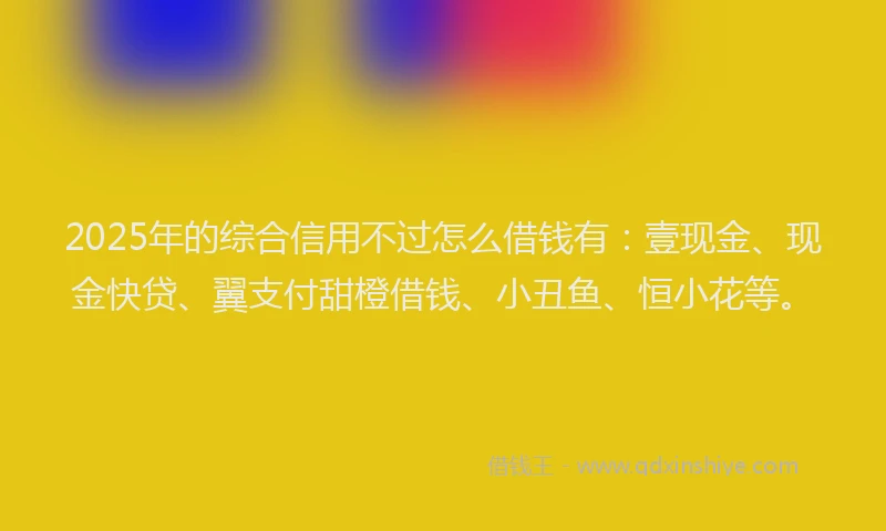 2025年的综合信用不过怎么借钱有：壹现金、现金快贷、翼支付甜橙借钱、小丑鱼、恒小花等。