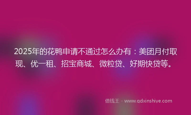2025年的花鸭申请不通过怎么办有：美团月付取现、优一租、招宝商城、微粒贷、好期快贷等。