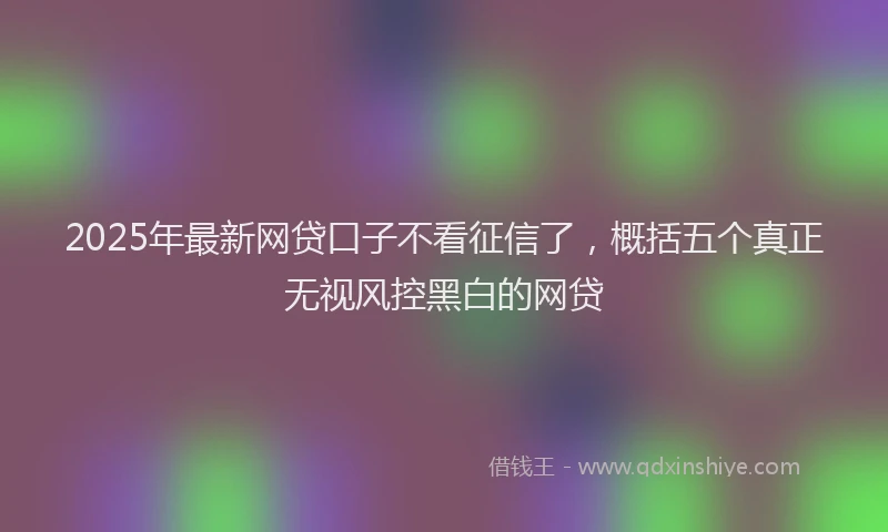 2025年最新网贷口子不看征信了，概括五个真正无视风控黑白的网贷