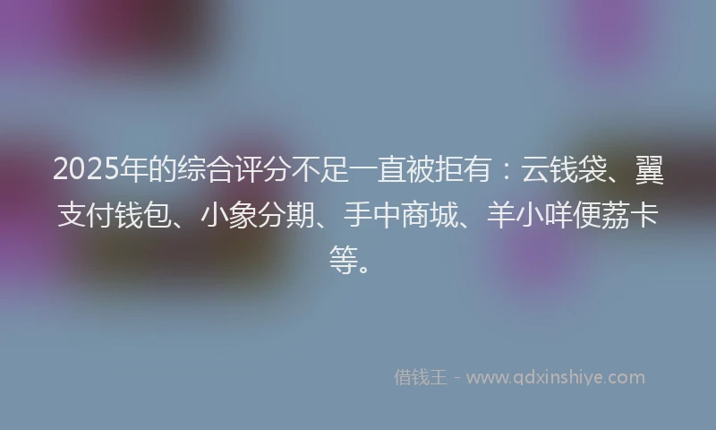 2025年的综合评分不足一直被拒有：云钱袋、翼支付钱包、小象分期、手中商城、羊小咩便荔卡等。