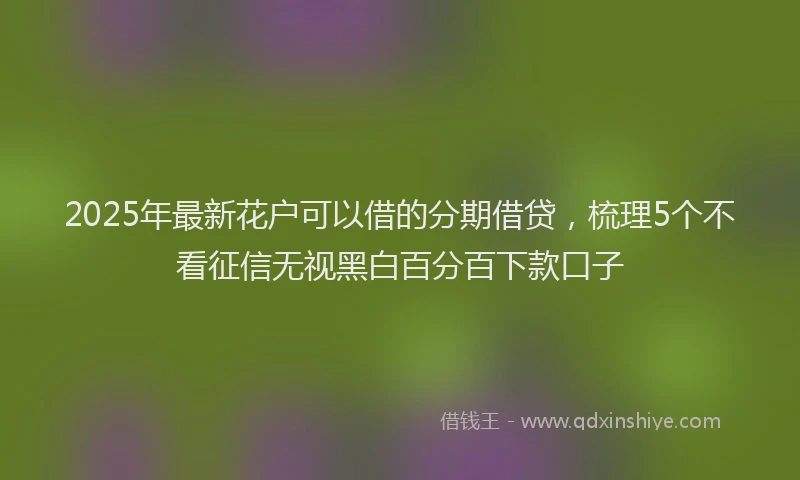 2025年最新花户可以借的分期借贷，梳理5个不看征信无视黑白百分百下款口子