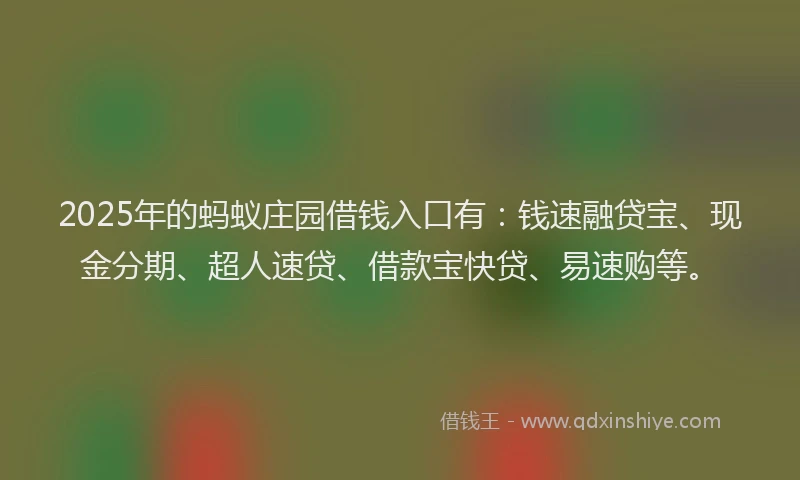 2025年的蚂蚁庄园借钱入口有：钱速融贷宝、现金分期、超人速贷、借款宝快贷、易速购等。