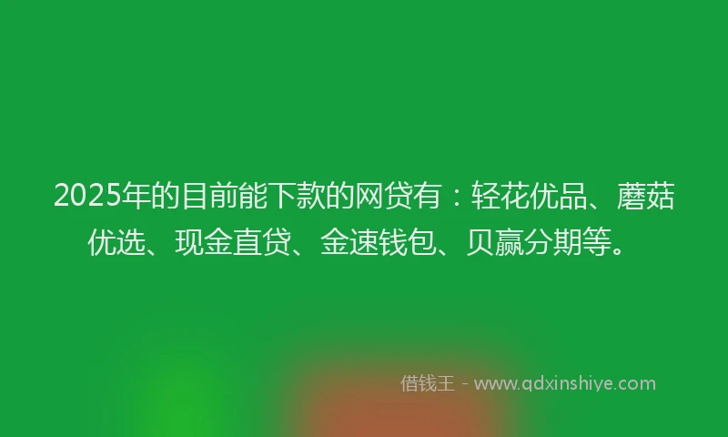 2025年的目前能下款的网贷有：轻花优品、蘑菇优选、现金直贷、金速钱包、贝赢分期等。