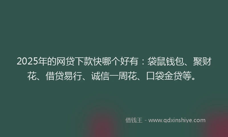 2025年的网贷下款快哪个好有：袋鼠钱包、聚财花、借贷易行、诚信一周花、口袋金贷等。