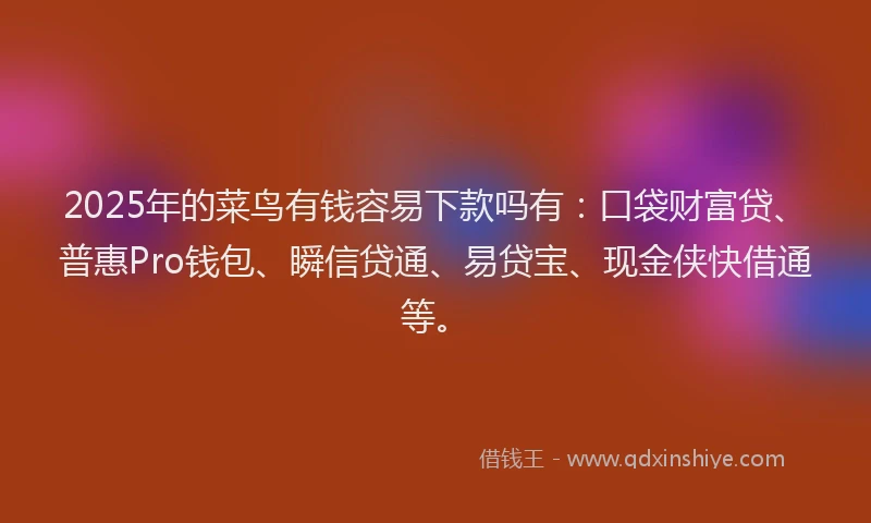 2025年的菜鸟有钱容易下款吗有：口袋财富贷、普惠Pro钱包、瞬信贷通、易贷宝、现金侠快借通等。