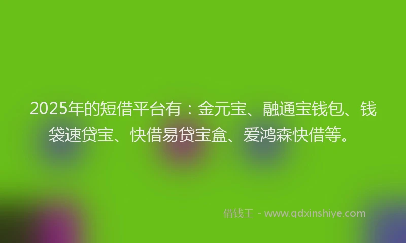 2025年的短借平台有：金元宝、融通宝钱包、钱袋速贷宝、快借易贷宝盒、爱鸿森快借等。