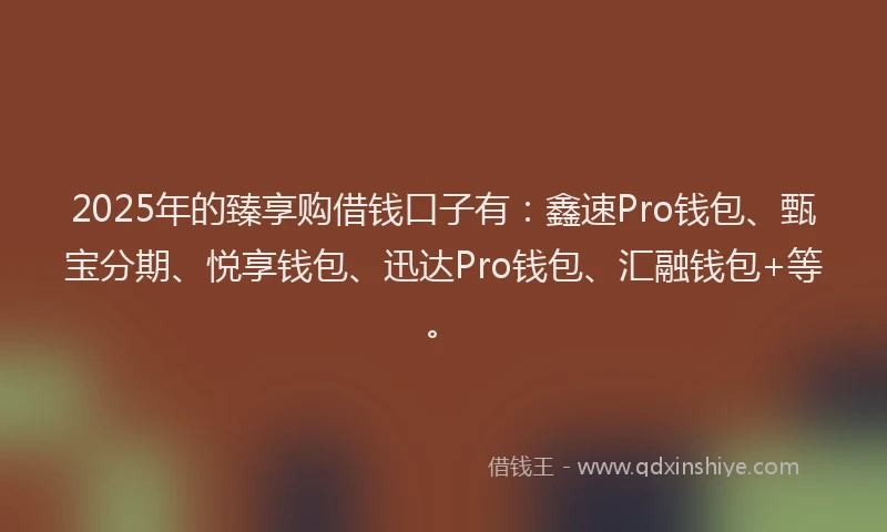 2025年的臻享购借钱口子有：鑫速Pro钱包、甄宝分期、悦享钱包、迅达Pro钱包、汇融钱包+等。