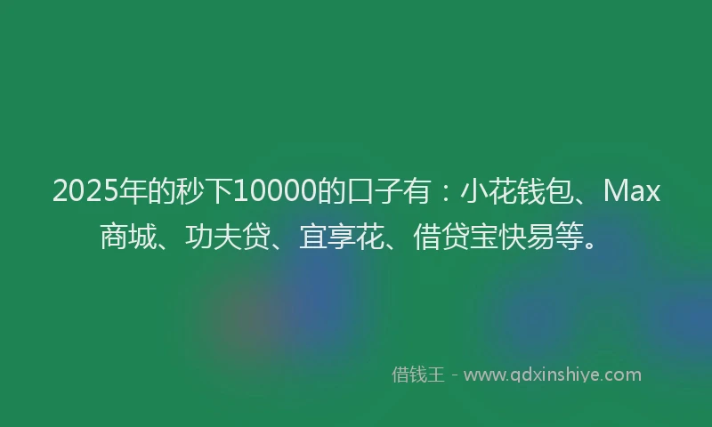 2025年的秒下10000的口子有：小花钱包、Max商城、功夫贷、宜享花、借贷宝快易等。