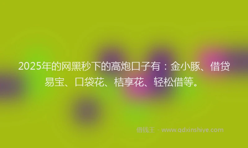 2025年的网黑秒下的高炮口子有：金小豚、借贷易宝、口袋花、桔享花、轻松借等。