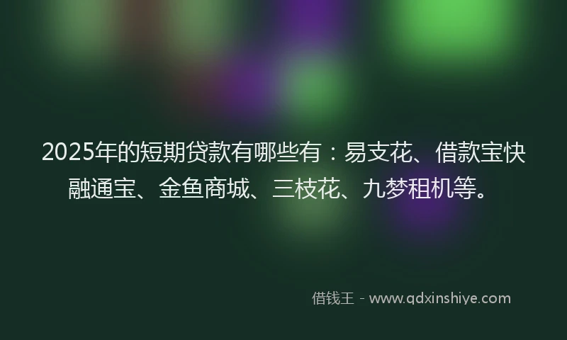 2025年的短期贷款有哪些有：易支花、借款宝快融通宝、金鱼商城、三枝花、九梦租机等。