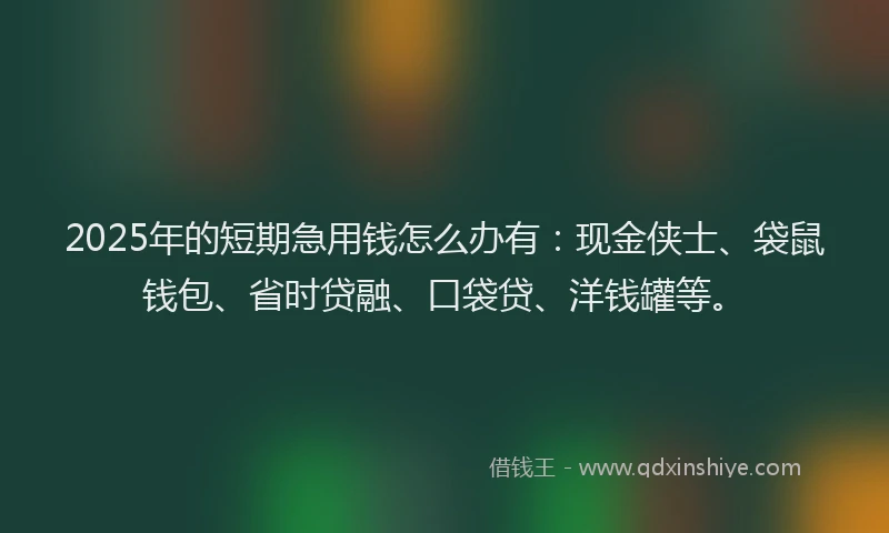 2025年的短期急用钱怎么办有：现金侠士、袋鼠钱包、省时贷融、口袋贷、洋钱罐等。