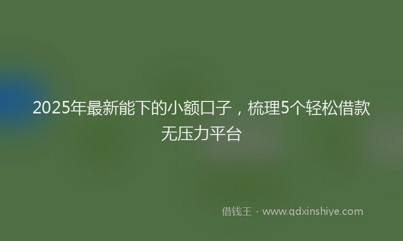 2025年最新能下的小额口子，梳理5个轻松借款无压力平台