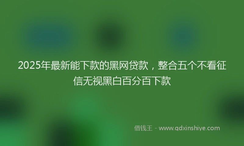 2025年最新能下款的黑网贷款，整合五个不看征信无视黑白百分百下款