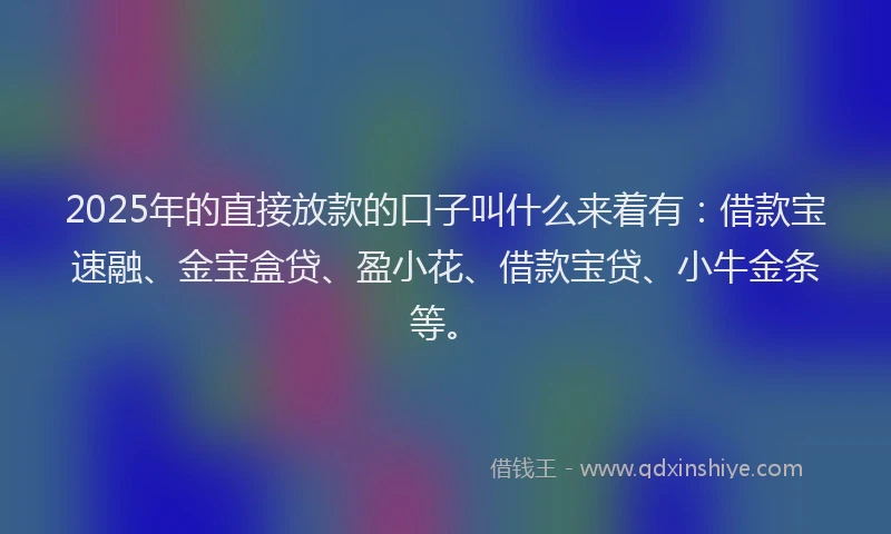 2025年的直接放款的口子叫什么来着有：借款宝速融、金宝盒贷、盈小花、借款宝贷、小牛金条等。