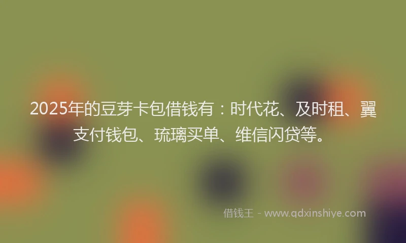 2025年的豆芽卡包借钱有：时代花、及时租、翼支付钱包、琉璃买单、维信闪贷等。