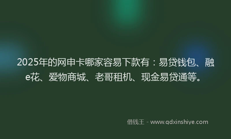 2025年的网申卡哪家容易下款有：易贷钱包、融e花、爱物商城、老哥租机、现金易贷通等。