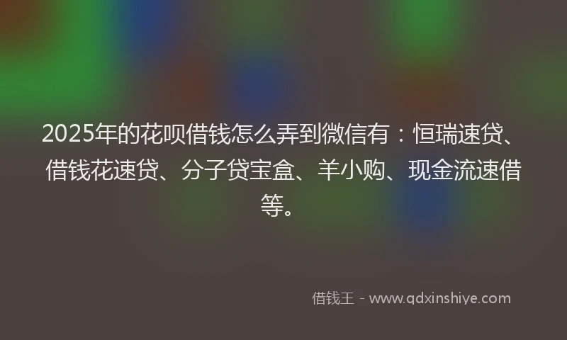 2025年的花呗借钱怎么弄到微信有：恒瑞速贷、借钱花速贷、分子贷宝盒、羊小购、现金流速借等。