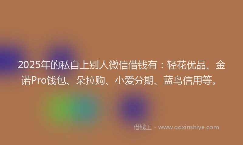 2025年的私自上别人微信借钱有：轻花优品、金诺Pro钱包、朵拉购、小爱分期、蓝鸟信用等。
