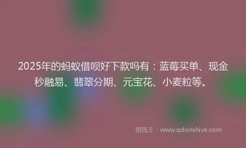 2025年的蚂蚁借呗好下款吗有：蓝莓买单、现金秒融易、翡翠分期、元宝花、小麦粒等。
