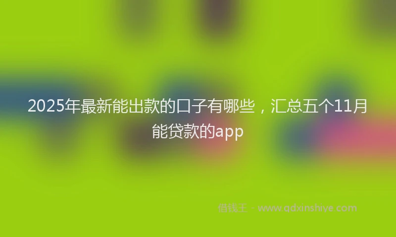 2025年最新能出款的口子有哪些，汇总五个11月能贷款的app
