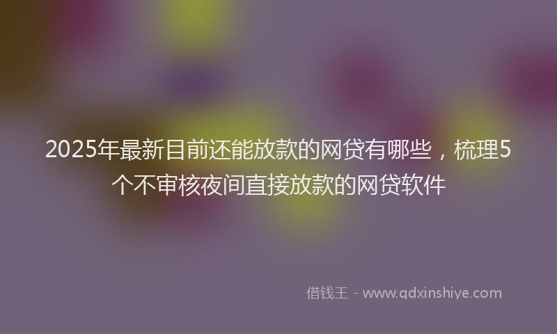 2025年最新目前还能放款的网贷有哪些，梳理5个不审核夜间直接放款的网贷软件