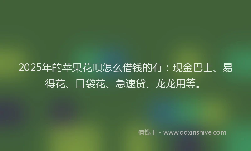 2025年的苹果花呗怎么借钱的有：现金巴士、易得花、口袋花、急速贷、龙龙用等。
