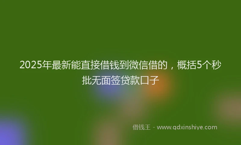 2025年最新能直接借钱到微信借的，概括5个秒批无面签贷款口子