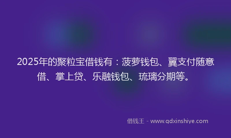 2025年的聚粒宝借钱有：菠萝钱包、翼支付随意借、掌上贷、乐融钱包、琉璃分期等。
