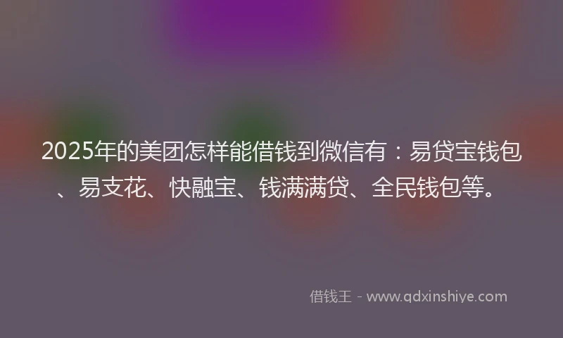 2025年的美团怎样能借钱到微信有：易贷宝钱包、易支花、快融宝、钱满满贷、全民钱包等。