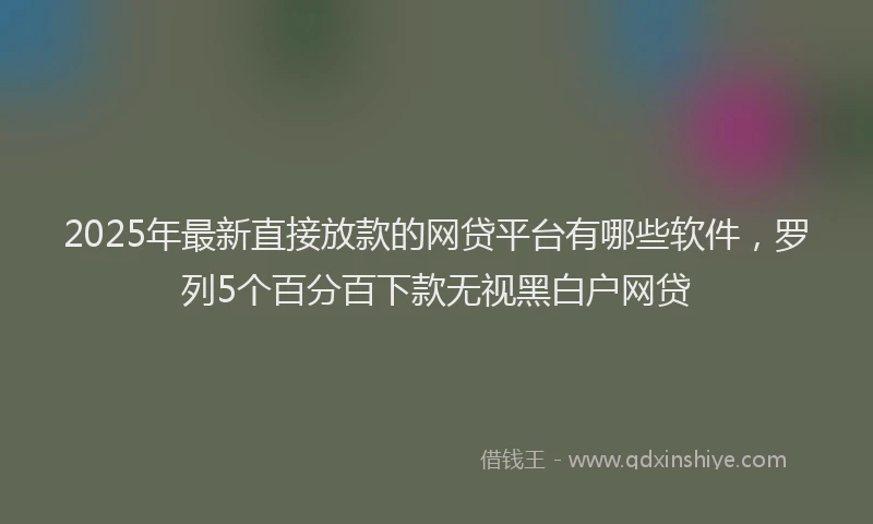 2025年最新直接放款的网贷平台有哪些软件，罗列5个百分百下款无视黑白户网贷