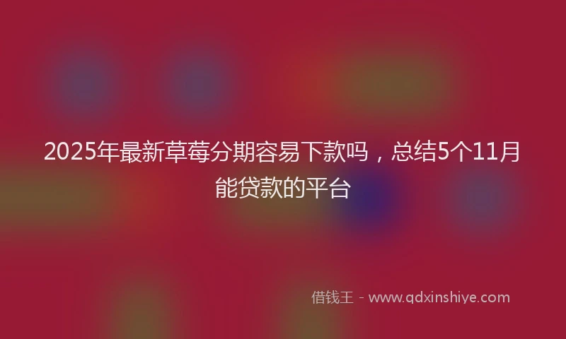 2025年最新草莓分期容易下款吗，总结5个11月能贷款的平台