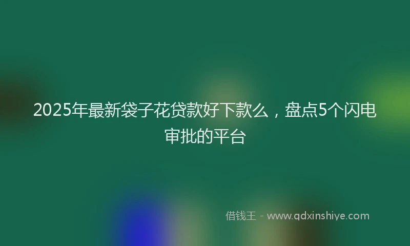 2025年最新袋子花贷款好下款么，盘点5个闪电审批的平台