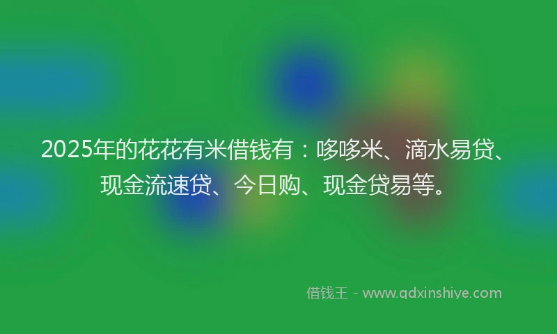 2025年的花花有米借钱有：哆哆米、滴水易贷、现金流速贷、今日购、现金贷易等。