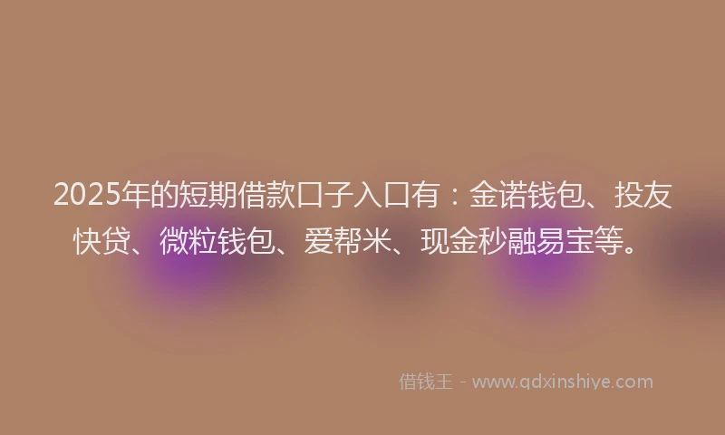 2025年的短期借款口子入口有：金诺钱包、投友快贷、微粒钱包、爱帮米、现金秒融易宝等。
