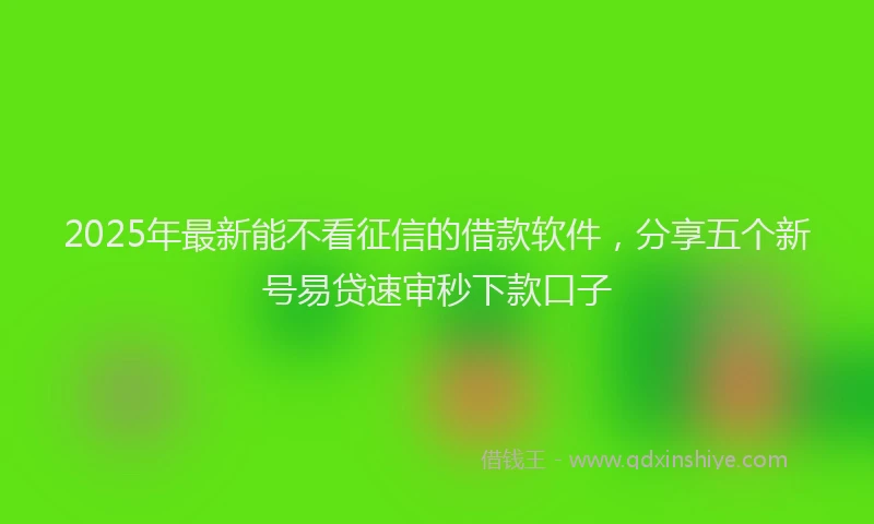 2025年最新能不看征信的借款软件，分享五个新号易贷速审秒下款口子