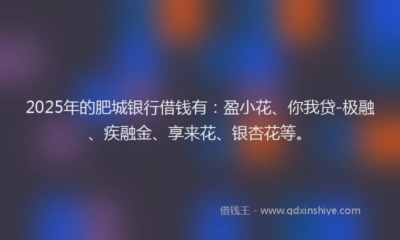 2025年的肥城银行借钱有：盈小花、你我贷-极融、疾融金、享来花、银杏花等。