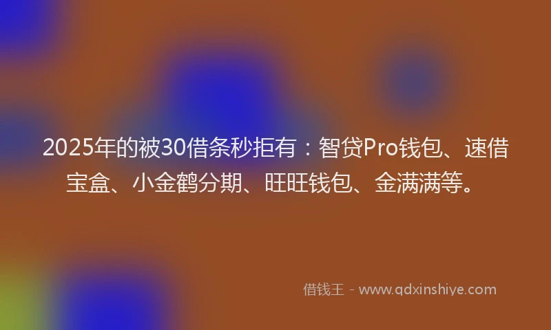 2025年的被30借条秒拒有：智贷Pro钱包、速借宝盒、小金鹤分期、旺旺钱包、金满满等。