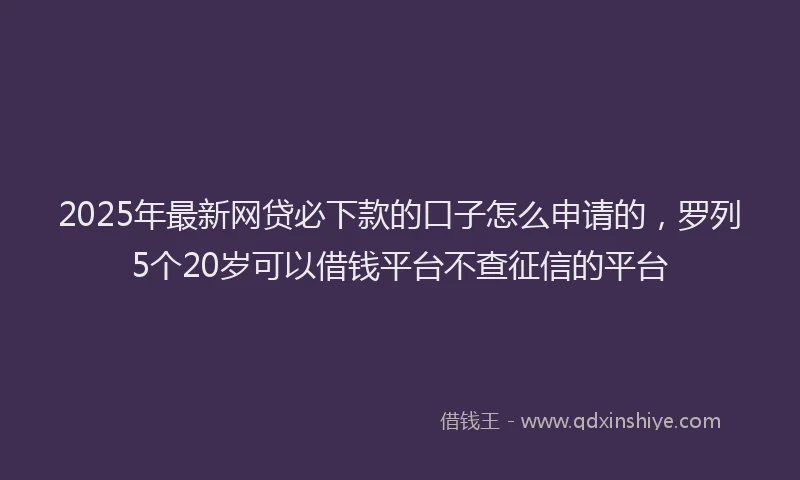 2025年最新网贷必下款的口子怎么申请的，罗列5个20岁可以借钱平台不查征信的平台