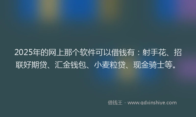 2025年的网上那个软件可以借钱有：射手花、招联好期贷、汇金钱包、小麦粒贷、现金骑士等。