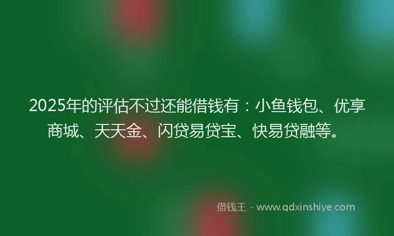 2025年的评估不过还能借钱有：小鱼钱包、优享商城、天天金、闪贷易贷宝、快易贷融等。