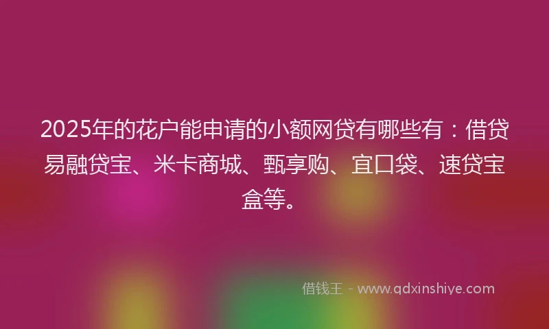2025年的花户能申请的小额网贷有哪些有：借贷易融贷宝、米卡商城、甄享购、宜口袋、速贷宝盒等。