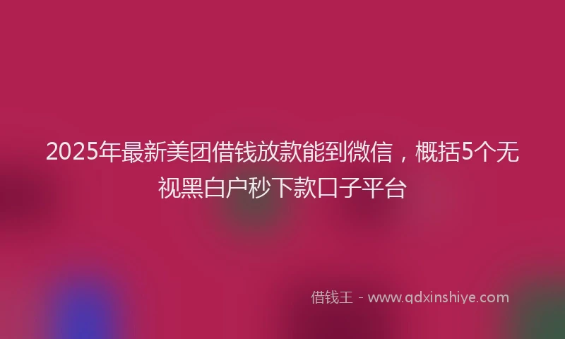 2025年最新美团借钱放款能到微信，概括5个无视黑白户秒下款口子平台