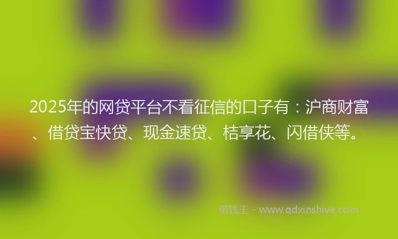 2025年的网贷平台不看征信的口子有：沪商财富、借贷宝快贷、现金速贷、桔享花、闪借侠等。