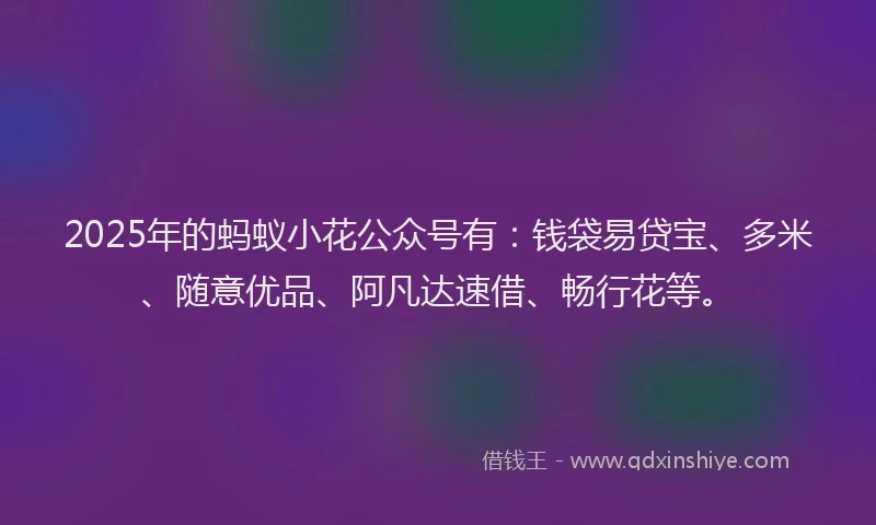 2025年的蚂蚁小花公众号有：钱袋易贷宝、多米、随意优品、阿凡达速借、畅行花等。